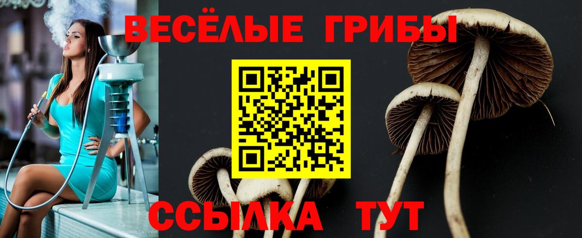 Галлюциногенные грибы GOLDEN TEACHER Новосибирск