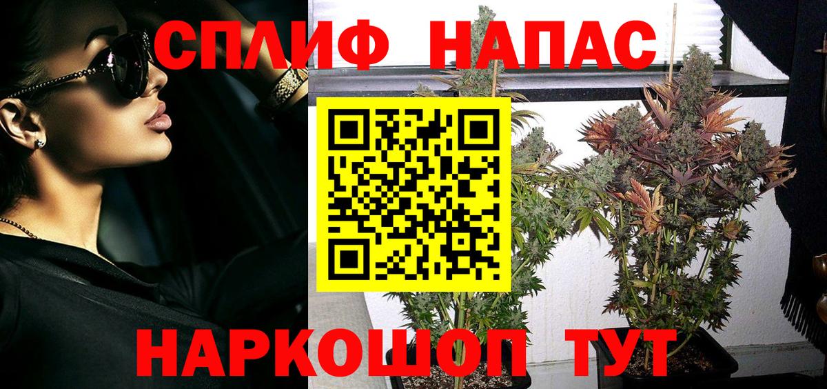 Конопля Ganja  Шишки марихуана конопля  Вход с VPN  Новосибирск  Бошки Шишки Ganja  Шишки марихуана план 